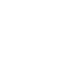 Connection with a flower and a person